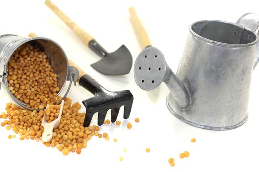 Fertilizer with bucket on a light background