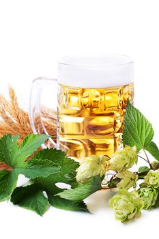 Mug of golden beer with hop leaves and wheat over white