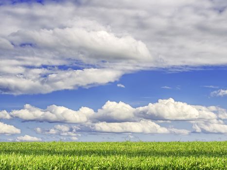 Green grass an blue sky with clouds for background