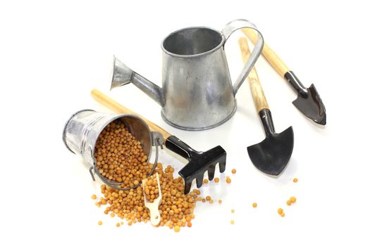 Fertilizer with watering can on a bright background