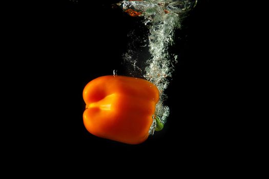 Colored orange paprika in water splashes on black background