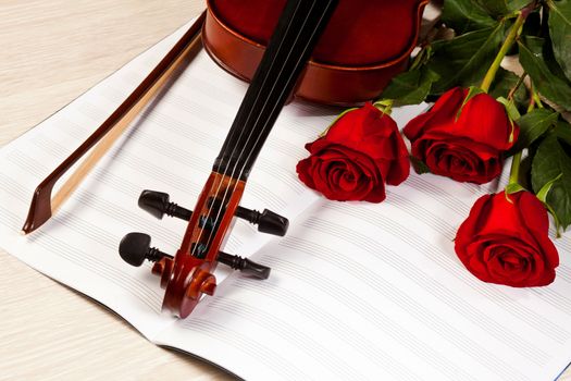 Red roses and a violin on the table