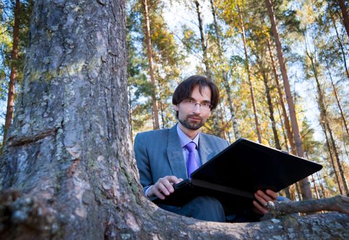 Business man using laptop in the forest.