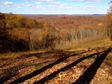 Brown County Autumn with Tree Shadows