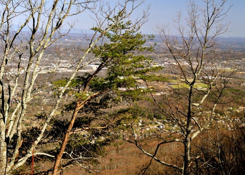 Chattanooga as seen through trees
