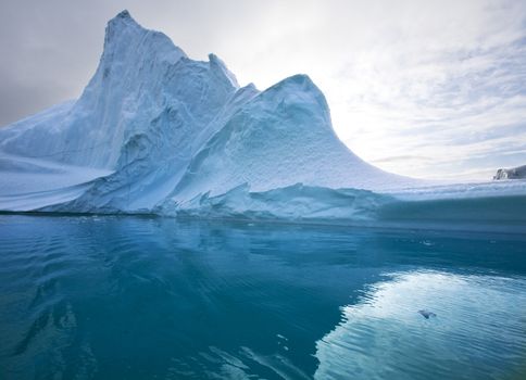 Iceberg in Scoresbysund in eastern Greenland