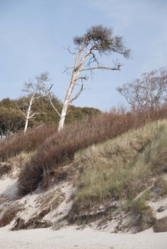 Baltic Sea Beach in Ahrenshoop, Germany