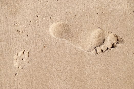 Footprint on a Beach on Ruegen