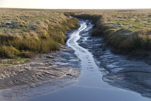 Landscape in St. Peter-Ording, Germany