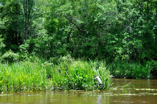 Waccamaw River