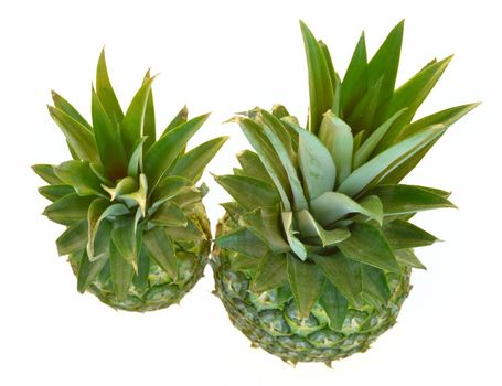two isolated pineapples