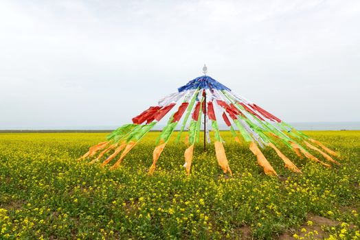 Colorful buddhist prayer flags on the grassland in Tibet