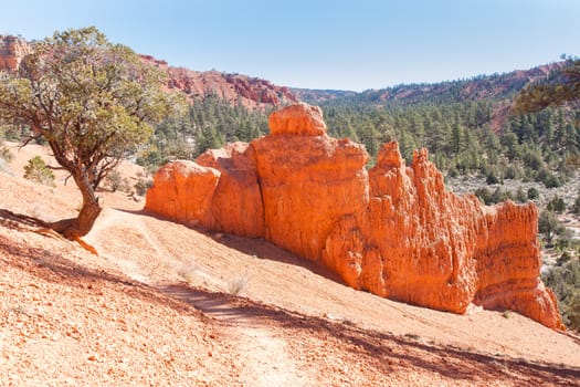 This image shows a path through dramatic rock formations and scrub pines surviving in a hostile environment while pine trees flourish in the canyon valley.