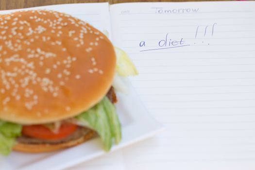 Burger and a diet diary with a record