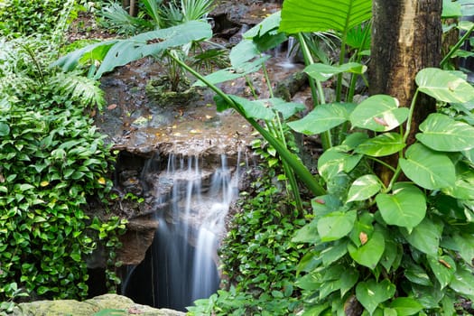 Peaceful rainforest waterfall cascading over a stone ledge surrounded by dense lush green foliage