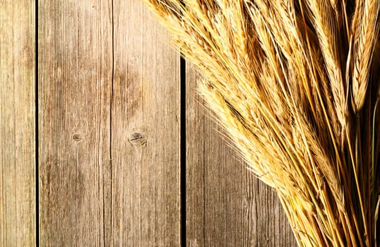 Rye spikelets on wooden background