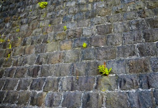 Stone wall with grass