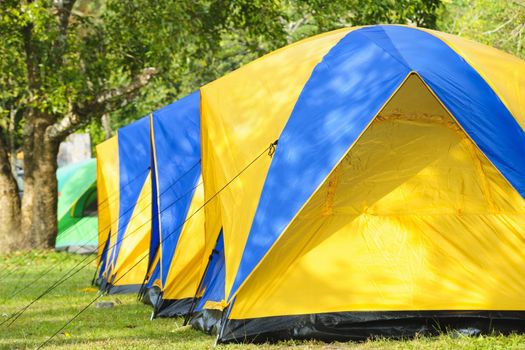 Tourist tent in national park, Thailand.