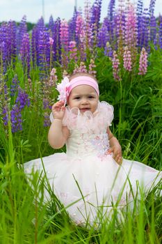 Little girl in an elegant dress sits on a grass