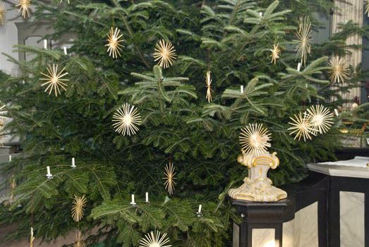Detail of a Christmas Tree