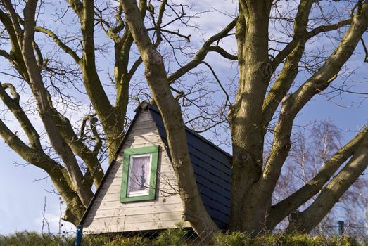 Detail of a Tree House
