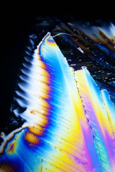 Micro Crystals in polarized Light