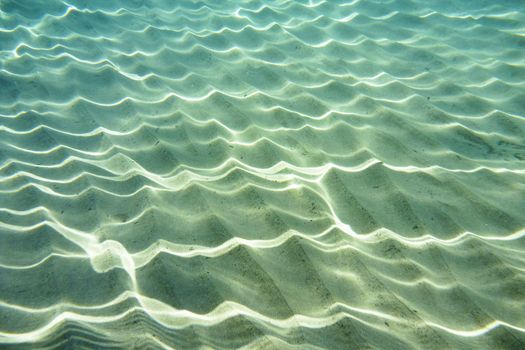 Underwater Scene in the Aegean