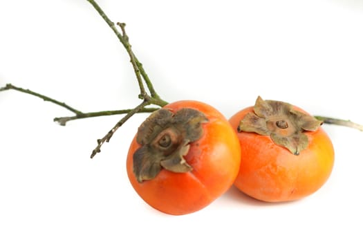 Two persimmon with a stick on white background.