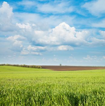 green and black field under cloudy sky