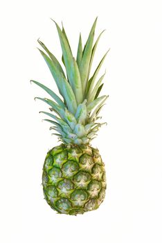 an isolated pineapple