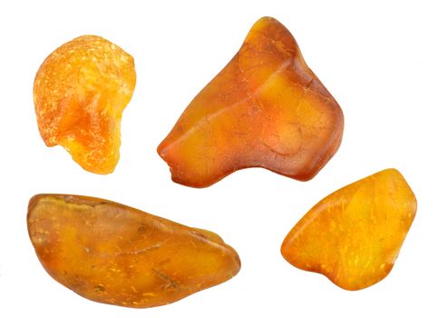 Four isolated amber pieces