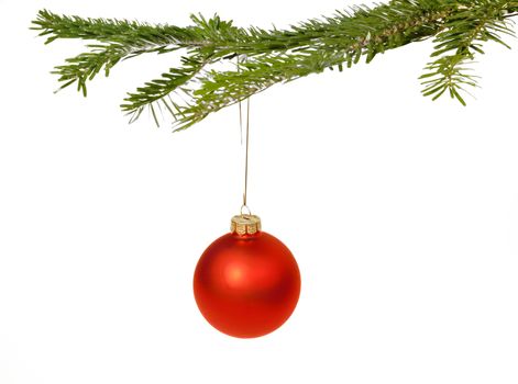 Red Christmas decorations hanging from a pine branch - isolated on white background