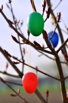 Easter eggs as tree ornaments