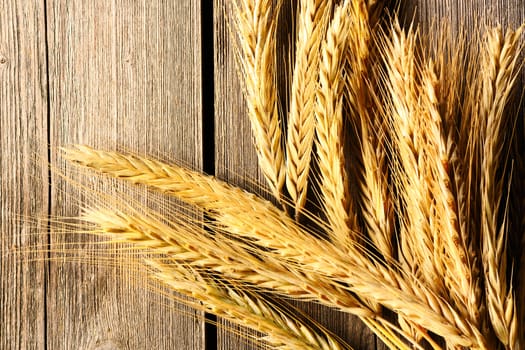 Rye spikelets on wooden background