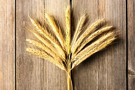 Rye spikelets on wooden background