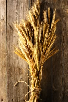 Rye spikelets on wooden background