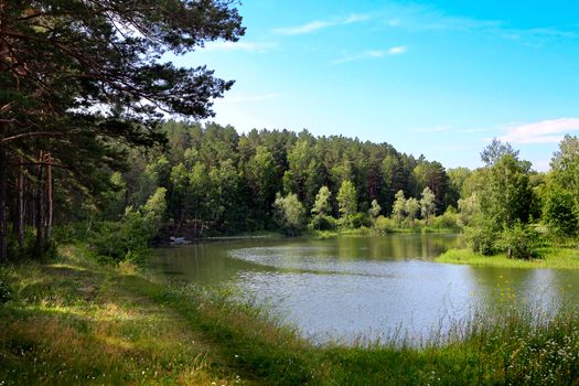 Nature Landscape with the Lake in the Summer Forest