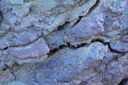a natural medical cambrian clay
