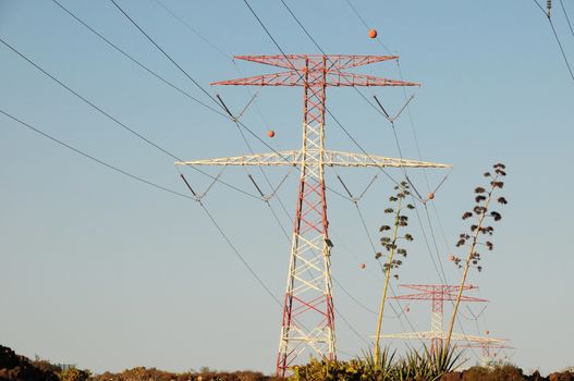 Electricity Pole over a Blue Sky in Spain