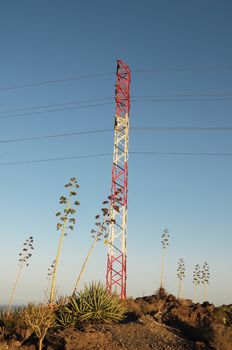 Electricity Pole over a Blue Sky in Spain