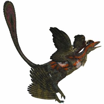 The Microraptor was a small flying dinosaur with four wings  in the Cretaceous Period of China.