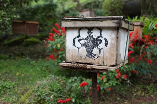 bee hive in side box of bee in farm