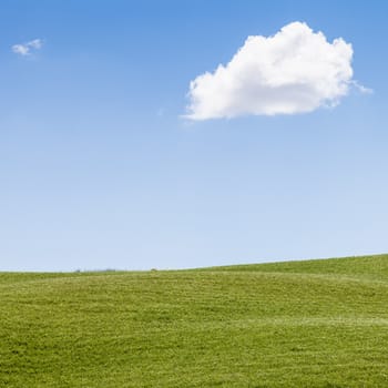 Green field under a blue sky in Val Orcia, Tuscany region, Italy