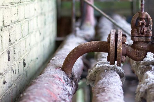 in factory abandon on production of cement, close ups