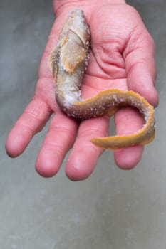 mother-of-eels from a winter catch of ice fishing