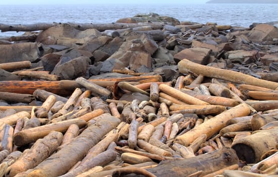 the unused ruined wood on an ocean coast