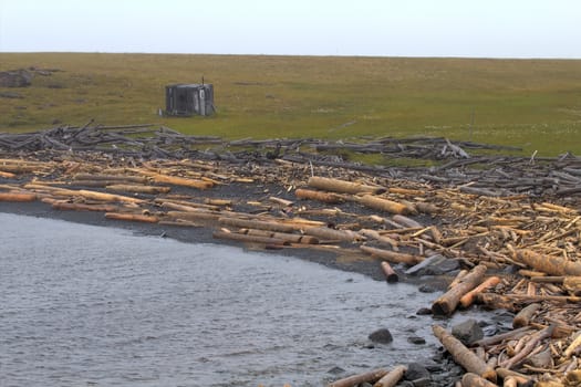 the unused ruined wood on an ocean coast