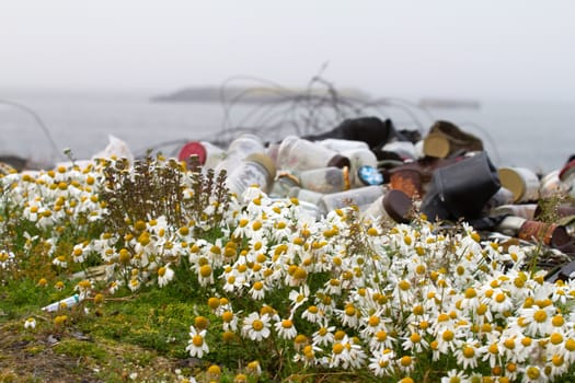 dump in the north, mountains of not taken out garbage