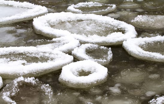 forms of sea ice near the coast