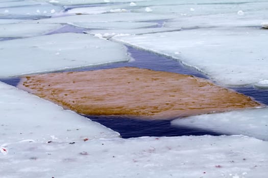 forms of sea ice near the coast
